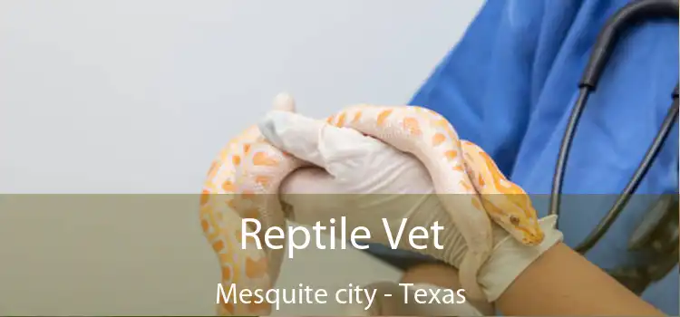 Reptile Vet Mesquite city - Texas