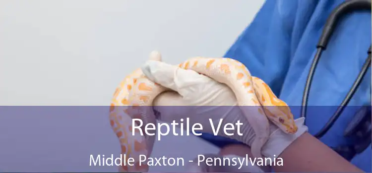 Reptile Vet Middle Paxton - Pennsylvania