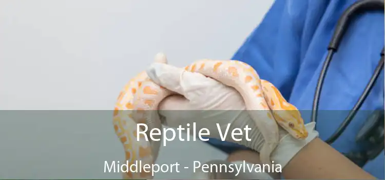 Reptile Vet Middleport - Pennsylvania