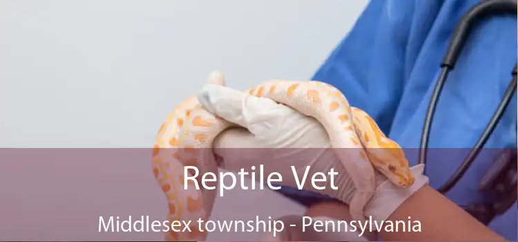 Reptile Vet Middlesex township - Pennsylvania