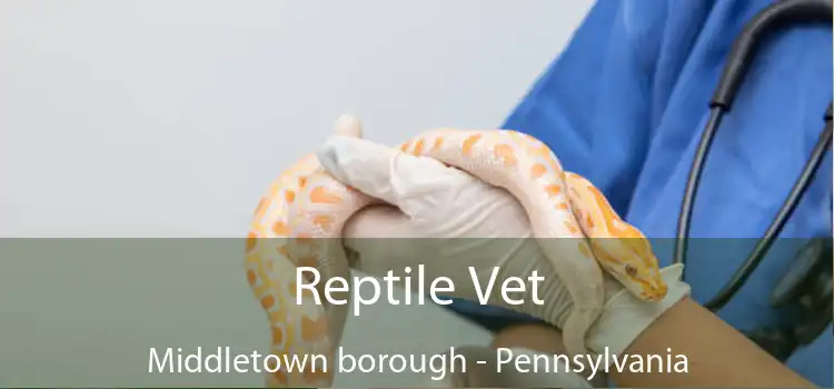Reptile Vet Middletown borough - Pennsylvania