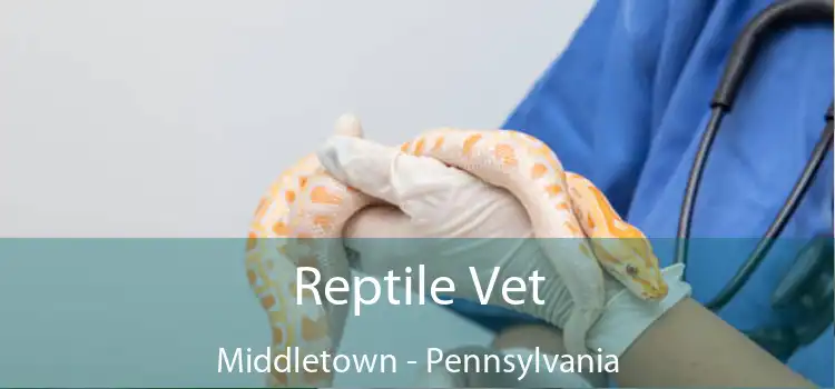 Reptile Vet Middletown - Pennsylvania
