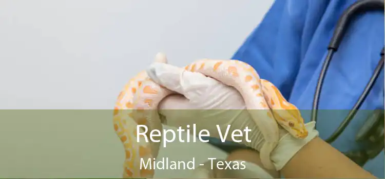 Reptile Vet Midland - Texas