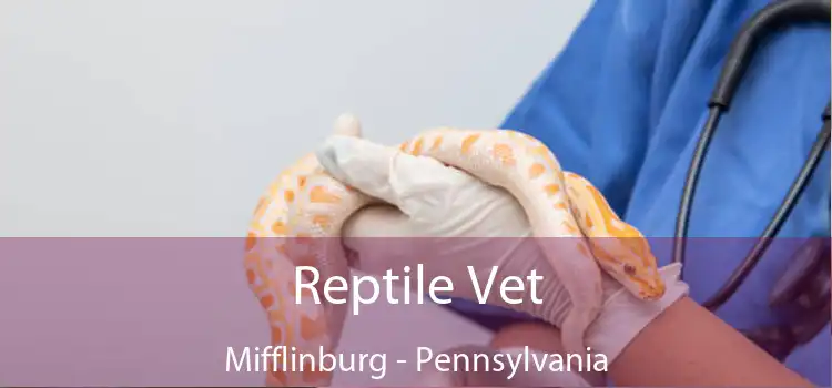 Reptile Vet Mifflinburg - Pennsylvania