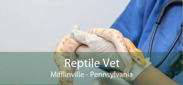 Reptile Vet Mifflinville - Pennsylvania