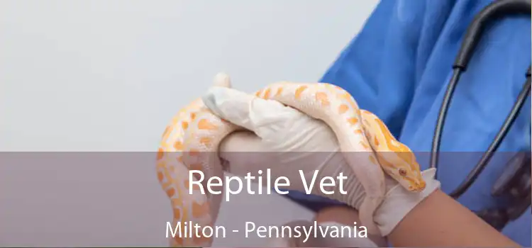 Reptile Vet Milton - Pennsylvania