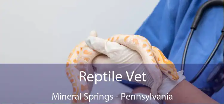 Reptile Vet Mineral Springs - Pennsylvania