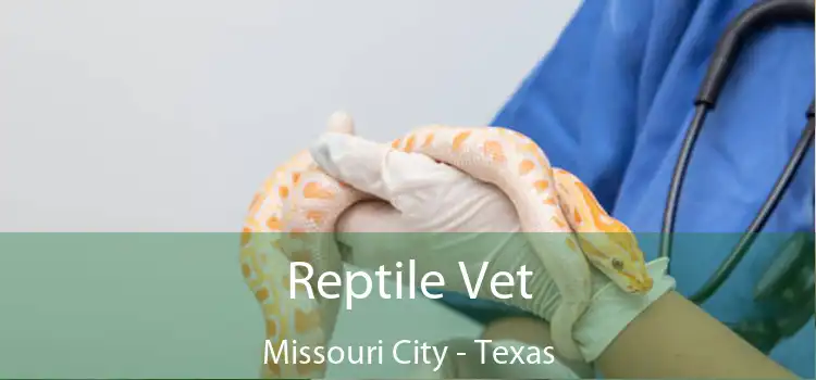 Reptile Vet Missouri City - Texas