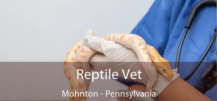 Reptile Vet Mohnton - Pennsylvania