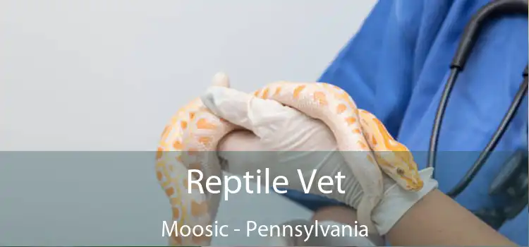 Reptile Vet Moosic - Pennsylvania