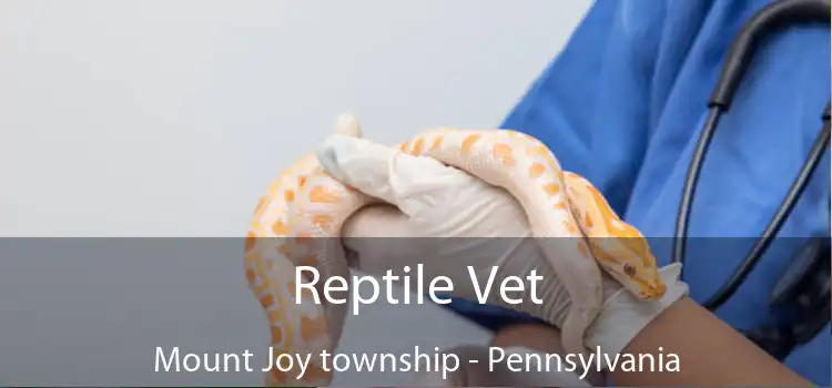 Reptile Vet Mount Joy township - Pennsylvania