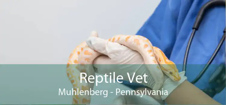 Reptile Vet Muhlenberg - Pennsylvania