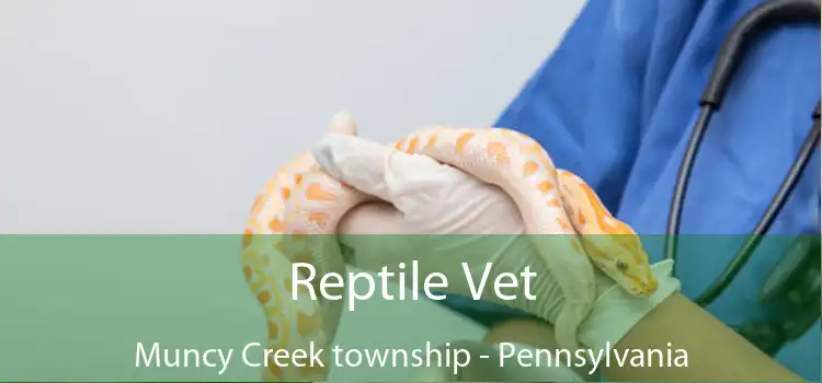 Reptile Vet Muncy Creek township - Pennsylvania