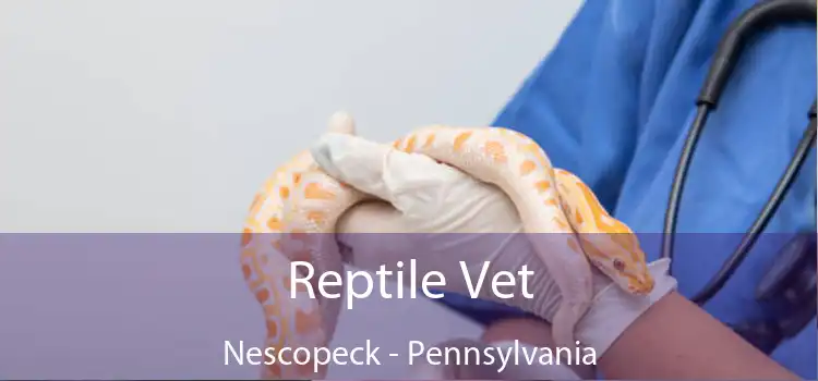 Reptile Vet Nescopeck - Pennsylvania