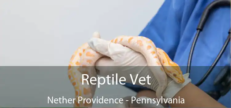 Reptile Vet Nether Providence - Pennsylvania