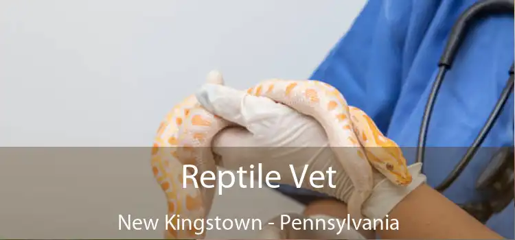 Reptile Vet New Kingstown - Pennsylvania