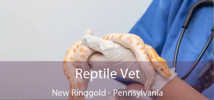 Reptile Vet New Ringgold - Pennsylvania
