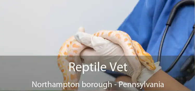 Reptile Vet Northampton borough - Pennsylvania
