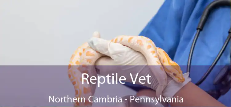Reptile Vet Northern Cambria - Pennsylvania