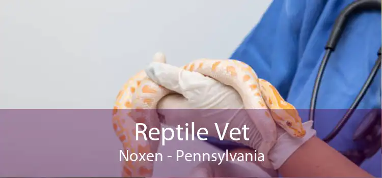 Reptile Vet Noxen - Pennsylvania