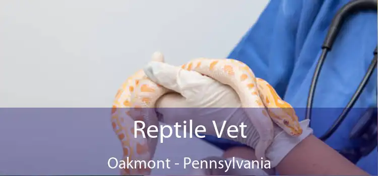 Reptile Vet Oakmont - Pennsylvania