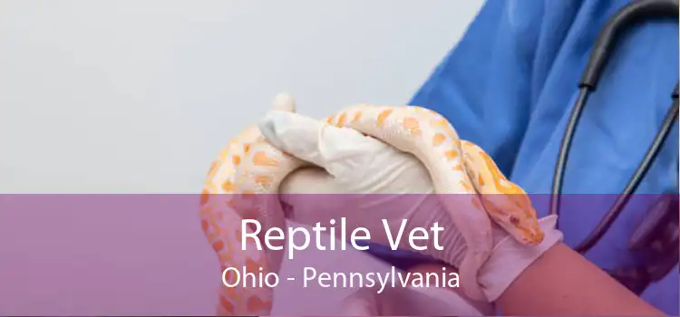 Reptile Vet Ohio - Pennsylvania