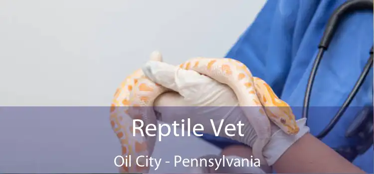 Reptile Vet Oil City - Pennsylvania