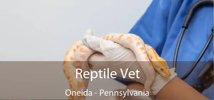 Reptile Vet Oneida - Pennsylvania