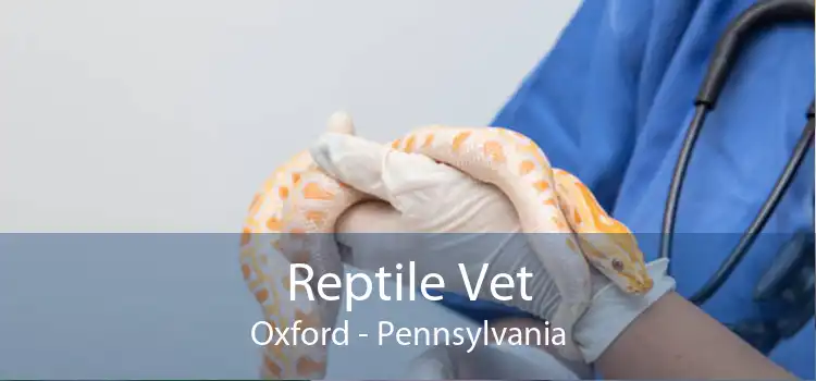 Reptile Vet Oxford - Pennsylvania