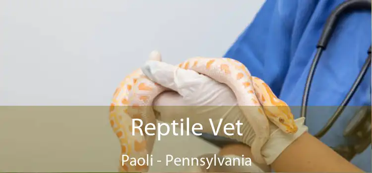 Reptile Vet Paoli - Pennsylvania