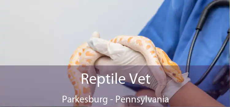Reptile Vet Parkesburg - Pennsylvania