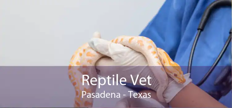 Reptile Vet Pasadena - Texas