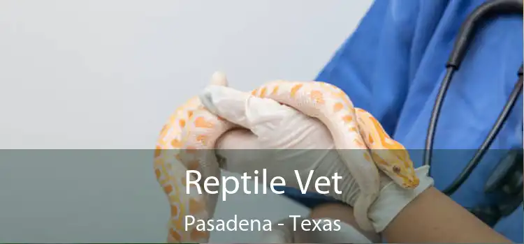 Reptile Vet Pasadena - Texas