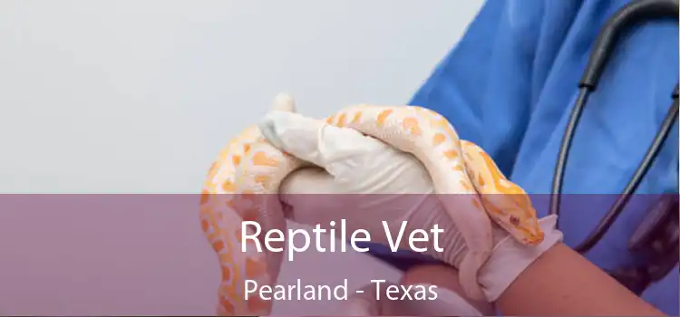 Reptile Vet Pearland - Texas