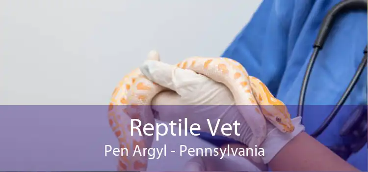 Reptile Vet Pen Argyl - Pennsylvania
