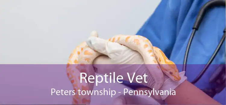 Reptile Vet Peters township - Pennsylvania