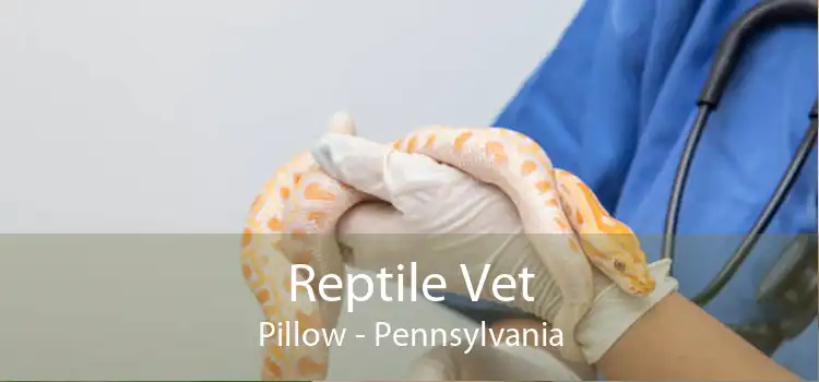 Reptile Vet Pillow - Pennsylvania