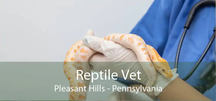 Reptile Vet Pleasant Hills - Pennsylvania