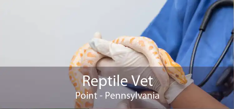 Reptile Vet Point - Pennsylvania