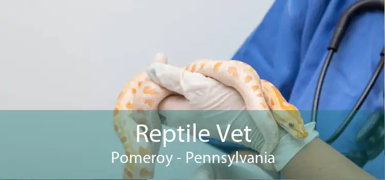 Reptile Vet Pomeroy - Pennsylvania