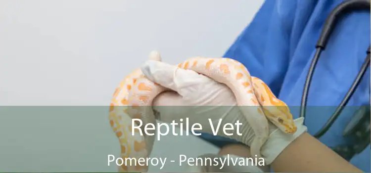 Reptile Vet Pomeroy - Pennsylvania