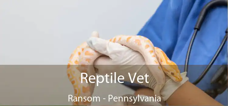 Reptile Vet Ransom - Pennsylvania