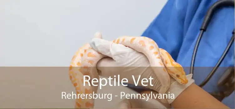 Reptile Vet Rehrersburg - Pennsylvania
