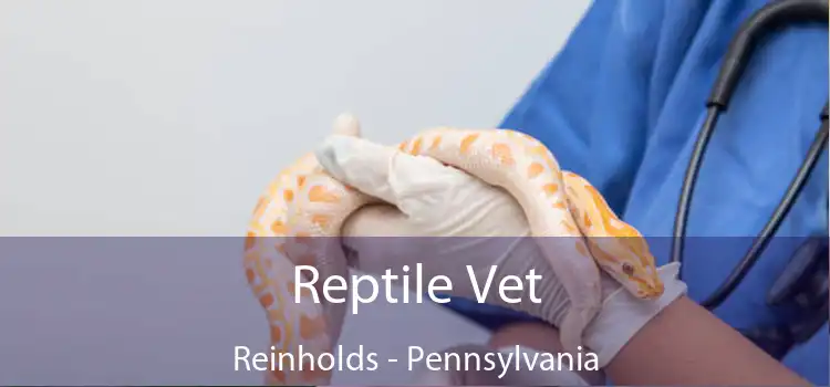 Reptile Vet Reinholds - Pennsylvania