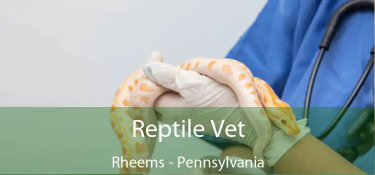 Reptile Vet Rheems - Pennsylvania