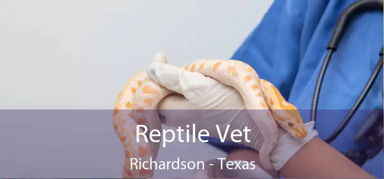 Reptile Vet Richardson - Texas