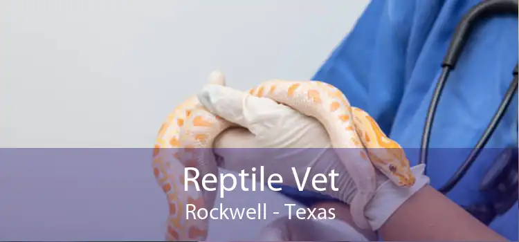 Reptile Vet Rockwell - Texas