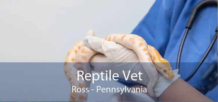 Reptile Vet Ross - Pennsylvania
