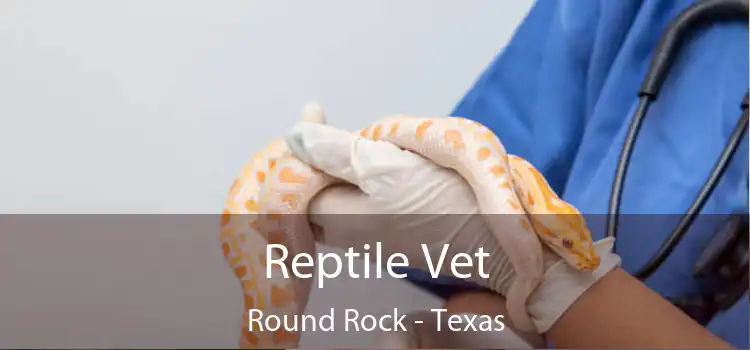 Reptile Vet Round Rock - Texas