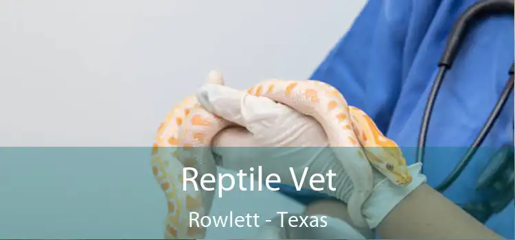 Reptile Vet Rowlett - Texas